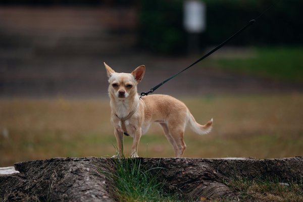 Unlocking Wellness: The Role of Lifestyle Changes in Effectively Managing Polycystic Ovary Syndrome (PCOS)